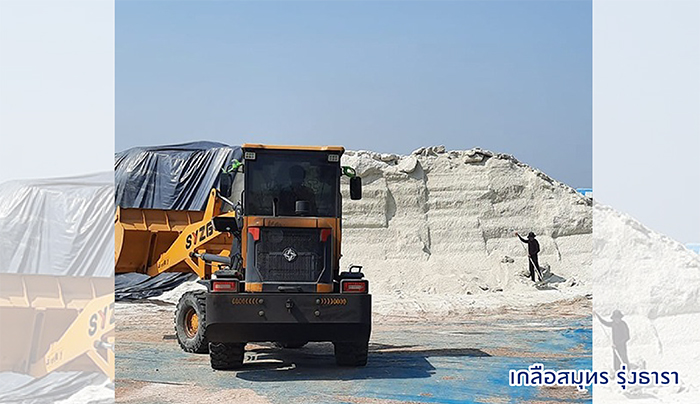 banner_เกลือสมุทรรุ่งธารา-4 banner_เกลือสมุทรรุ่งธารา-4