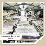 ผ้าเกาหลี - มีโซ