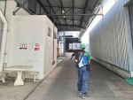 บริการไล่นกพิราบด้วยเหยี่ยวจริง - ชลบุรี