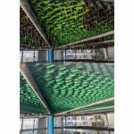 สารเคมีกำจัดตะไคร่น้ำในระบบCooling Tower - รับติดตั้งระบบบำบัดน้ำเสีย - ไดน่า ฟลูอิด