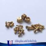 รับผลิตชิ้นงานทองเหลือง - รับกลึงชิ้นส่วนอะไหล่ ทองเหลือง สแตนเลส อลูมิเนียม และเหล็กตามแบบ
