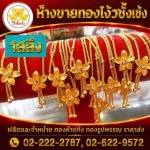 Ngow Chang Seng Gold Smith Co., Ltd.