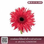 พวงหรีดส่งด่วน - ​ลีน่า ฟลาวเวอร์ (Leena Flower Shop)