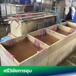 รับทำบ่อชุบตามสั่ง - อุปกรณ์ชุบมือสอง - ศรีวิชัยโลหะกิจ