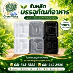 U Pack Green Vision Co, Ltd.