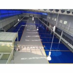 Showroom floor - Epoxy-T.T. R. Epicon (Thailand) Co., Ltd.