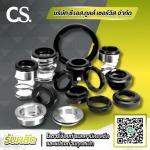 C S Tool Service Co Ltd