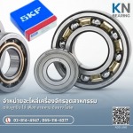 จำหน่ายตลับลูกปืน SKF - ขายปลีก-ส่ง ตลับลูกปืนอุตสาหกรรม นครปฐม