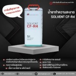 TSI PT and Conveyor Co., Ltd.