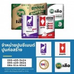 ร้านขายปูนซีเมนต์ ปูนตราเสือ ปูนตราจิงโจ้ ปูนลูกดิ่ง ปูนทีพีไอ พระราม2 พุทธบูชา - ร้านขายวัสดุก่อสร้างพุทธบูชา พระราม2