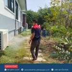 Zettawhite Co,Ltd