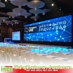 MIGHTY MICE COMPANY LIMITED