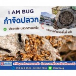 แนะนำบริษัทฉีดปลวก - กำจัดปลวก เหยื่อกำจัดปลวก ปทุมธานี - ไอ แอม บัก
