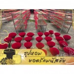 รับผลิตธูปตามออเดอร์ (OEM) - โรงงานผลิตธูปหอม OEM