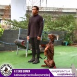 ฝากสุนัขใกล้ฉัน - รับฝึกสอนสุนัขและรับเลี้ยงทุกสายพันธุ์