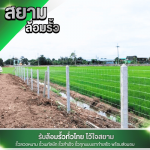 รับล้อมรั้วตาข่าย สุพรรณบุรี - รับล้อมรั้ว ราคาถูก สุพรรณบุรี