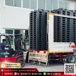 พาเลทพลาสติก แข็งแรง ทนทาน ราคาขายส่ง - โรงงานผลิต Rack ชั้นวางสินค้าอุตสาหกรรม - ยูนิคอร์น พลาสเนอร์ (6395)