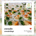 อาหารเด็กพร้อมทาน จัดส่งด่วน - อาหารเด็ก Mom Mom Organic Baby Food