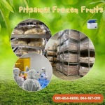PITSAMAI FROZEN FRUITS COMPANY LIMITED