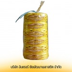 Inter Chaipattana Plastic Company Limited