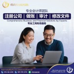 P AUDIT & LAW COMPANY LIMITED