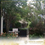 รับออกแบบจัดสวน - infinitegarden