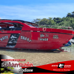 Boat to Koh Samet, Phe Pier - White Shark