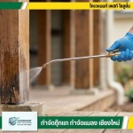 กำจัดตุ๊กแก กำจัดปลวก เชียงใหม่