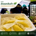 The company exports seasonal fruits and vegetables.