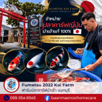 Fumetsu Koi Farm 2022