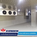 รับออกแบบติดตั้งและซ่อมห้องเย็นอุตสาหกรรม