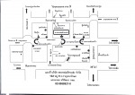 รับขนส่งสินค้า พิจิตร - รับจ้างขนส่งสินค้า ภาคเหนือ สหะหล่มสักขนส่ง