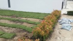 รับออกแบบจัดสวน บางประอิน - ไร่หญ้า จ๋า หรือ มนู