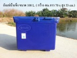 ถังน้ำแข็ง ถังแช่น้ำแข็ง ขนาด 40 ลิตร - Safe Icebucket Jitfiberglass