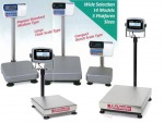 ขายเครื่องชั่งระดับพื้น FLOOR SCALE - จำหน่ายเครื่องชั่งอุตสาหกรรม