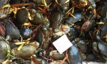 มาวินซีฟู้ด มหาชัย - Mawin Seafood
