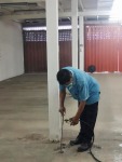 รับกำจัดปลวก ราคาถูก - บริษัทกำจัดปลวก บุรีรัมย์ - ฮั้นส์ กำจัดปลวก