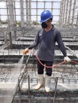 ตรวจหารังปลวก กำจัดถึงรังปลวก - บริษัทกำจัดปลวก เพชรบุรี - ฮั้นส์ กำจัดปลวก