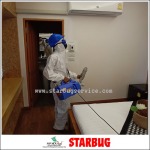 ฉีดพ่นน้ำยากำจัดปลวก - Starbug Pest Control (2018) Co., Ltd.