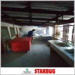 บริษัทรับกำจัดปลวก แมลง - Starbug Pest Control (2018) Co., Ltd.