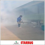รับฉีดปลวกตายยกรัง - กำจัดปลวก สมุทรปราการ - สตาร์บั๊ก เพสท์ คอนโทรล (2018)