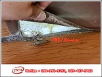 ฉีดพ่นน้ำยาก่อนการก่อสร้าง - JMW Services