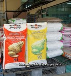 จำหน่ายปุ๋ยสูตร 16 20 0 พิษณุโลก - ร้านขายเมล็ดพันธุ์ข้าว พิษณุโลก-วังเป็ดเกษตรยนต์