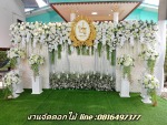 รับจัดดอกไม้นอกสถานที่ - Nida Flora & Motana J Vegan 