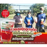 ชุดคู่สารปรับปรุงดิน - โรงงานผลิตปุ๋ยน้ำ OEM-นิริน อินเตอร์เทรด