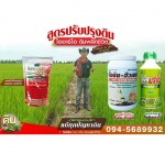 ไซโลเทค สารmono sillicic acid ช่วยให้ต้นพืชแข็งแรง ป้องกันโรคและแมลง - โรงงานผลิตปุ๋ยน้ำ OEM-นิริน อินเตอร์เทรด