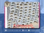 บ้านโรมันสมุทรสาคร (2) - โรงงานผลิตคิ้วบัว บัวปูนปั้น - บ้านโรมันสมุทรสาคร