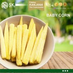 9 - บริษัทส่งออกผักผลไม้ตามฤดูกาล