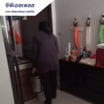 รับกำจัดปลวกขึ้นคอนโด - ห้างหุ้นส่วนจำกัด ชัยชนะพัฒนา เซอร์วิส