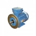 มอเตอร์กันระเบิด / Explosion Proof Motor  - บริษัท เจริญเมืองแมชชินเนอรี่ จำกัด